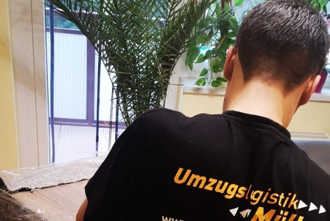 Laborumzug Dorfhain stressfrei umziehen 